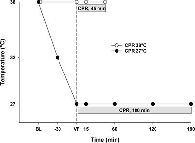 Study of the Effects of 3 h of Continuous Cardiopulmonary Resuscitation at 27°C on Global Oxygen Transport and Organ Blood Flow